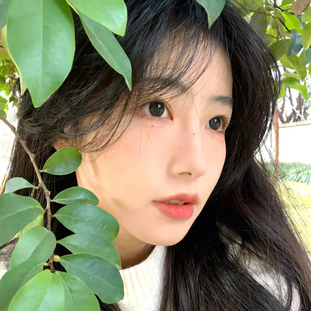 李林克的小馆儿第二季