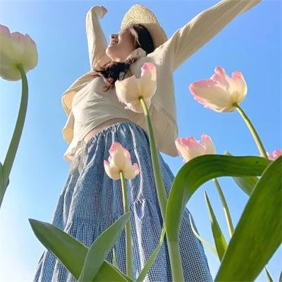 热带的甜蜜